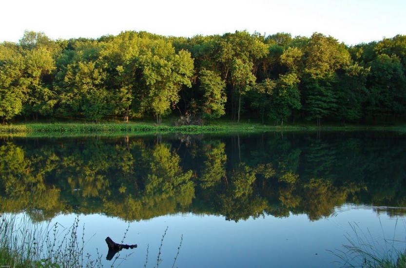 Сєверне з panoramio.com - Syeverne