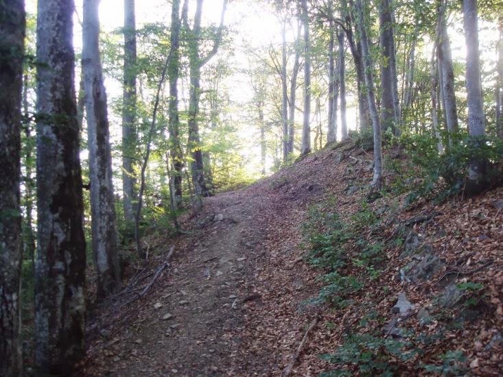 Красна з panoramio.com - Krasna