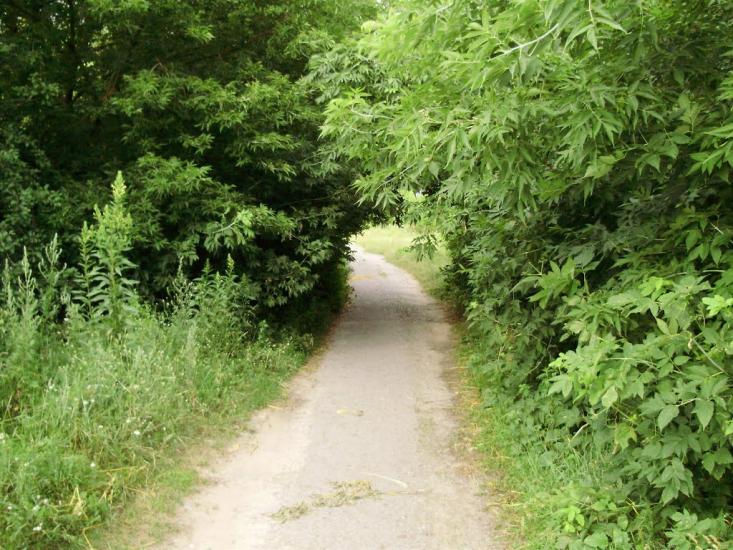 Остроушки з panoramio.com - Остроушки