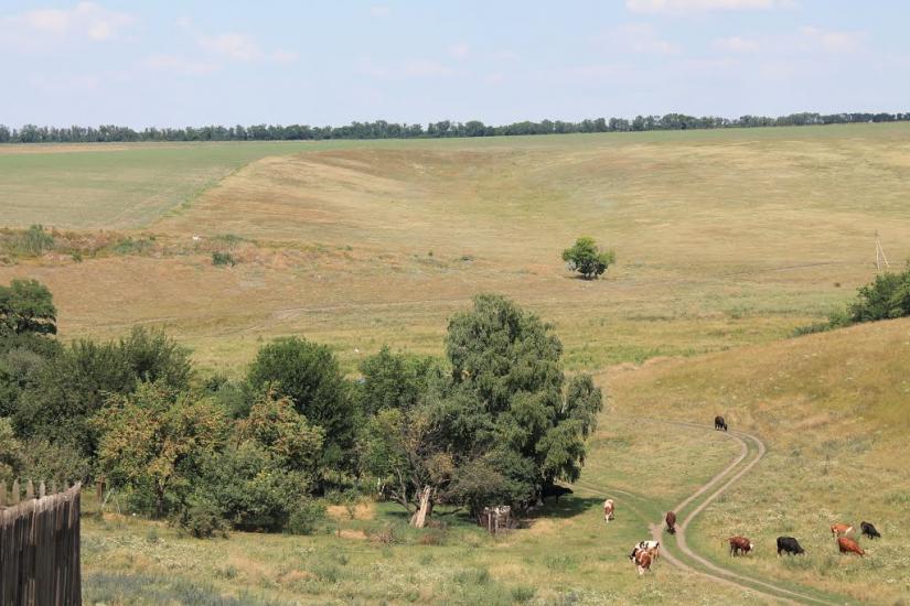 Сад з panoramio.com - Сад