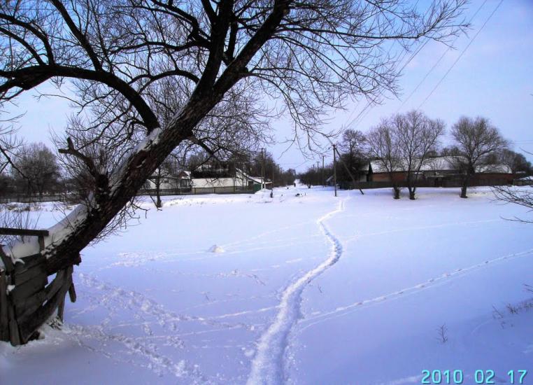 Федорівка з panoramio.com - Федоровка