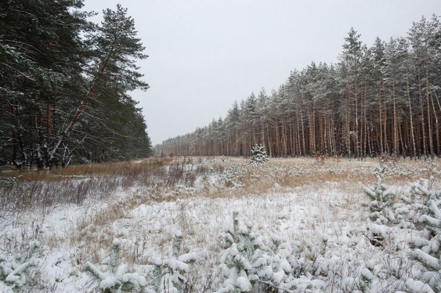 Борівське з panoramio.com - Борівське