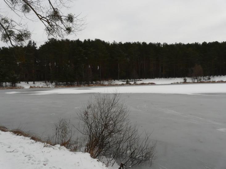 Новогуйвинське з panoramio.com - Novoguyvynske