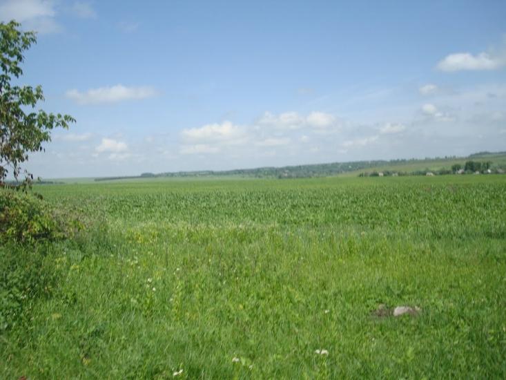 Черепова з panoramio.com - Черепова