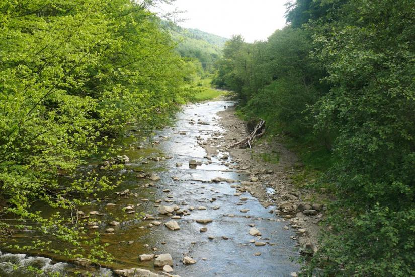 Буковець з panoramio.com - Буковець