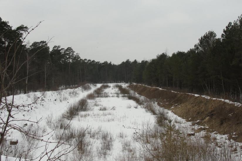 Сокиричі з panoramio.com - Сокиричі