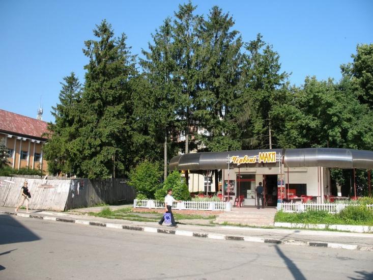 Городенка з panoramio.com - Городенка