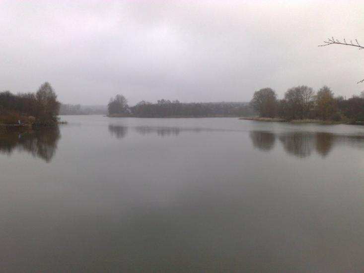 Питомник з panoramio.com - Питомник