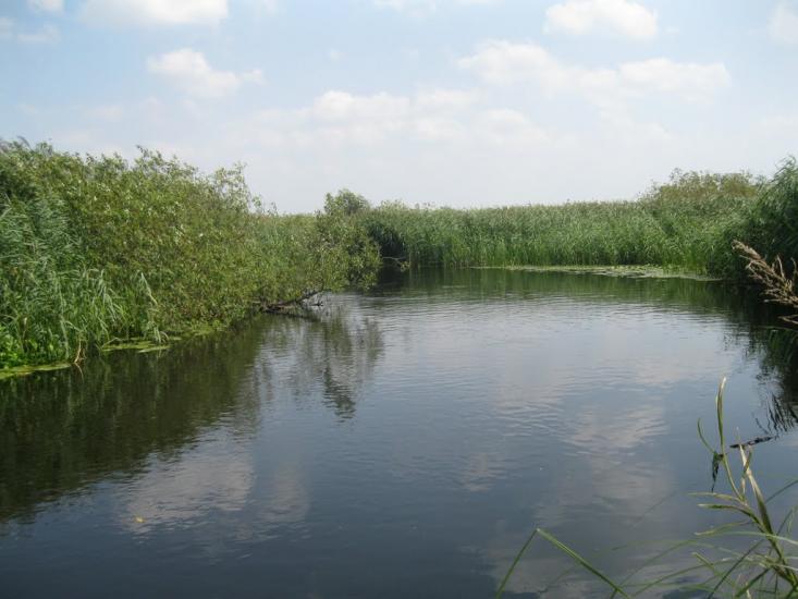 Хотешів з panoramio.com - Хотешов