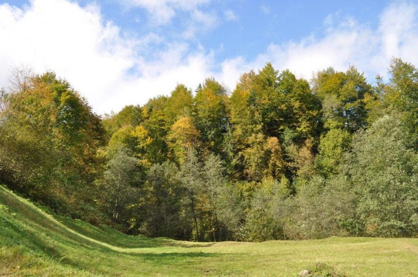 Акрешори з panoramio.com - Akreshory