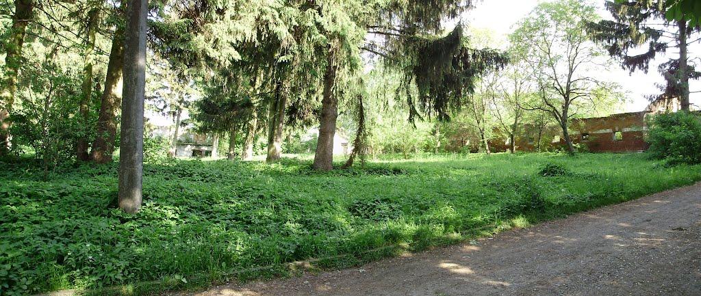 Черниця з panoramio.com - Черниця