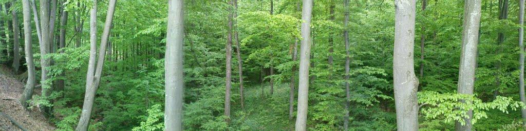 Кобалевиця з panoramio.com - Кобалевиця