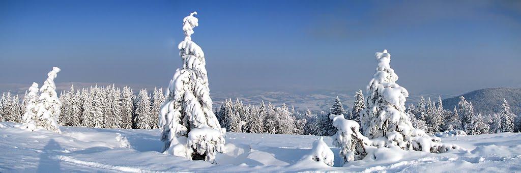 Баня-Березів з panoramio.com - Баня-Березов