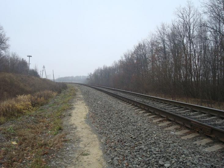 Лошківці з panoramio.com - Лошковцы