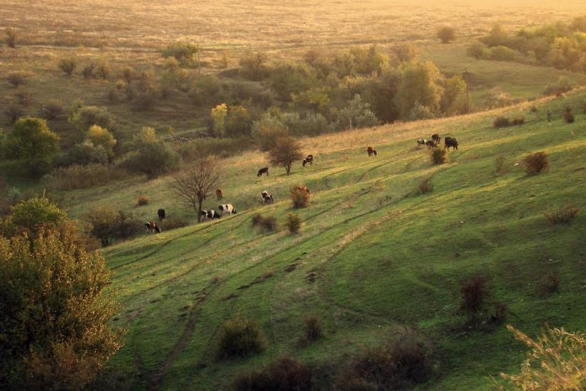 Високогірне з panoramio.com - Високогірне