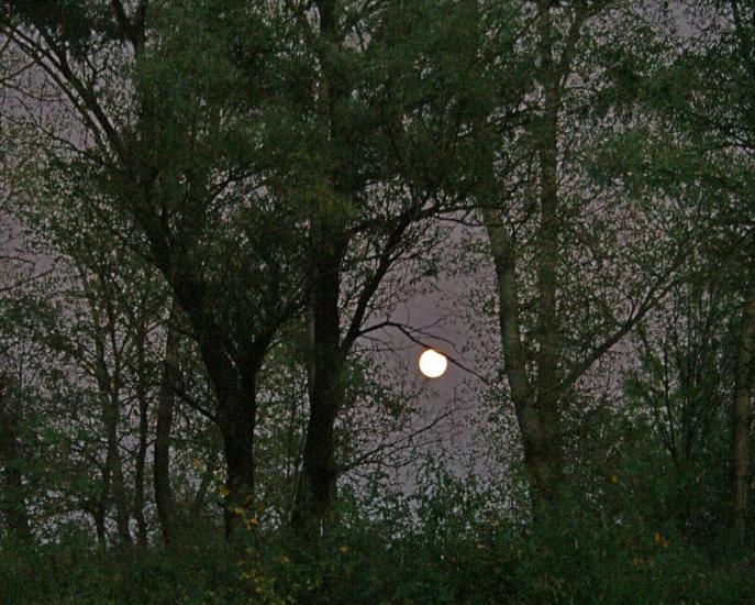 Юрки з panoramio.com - Yurky
