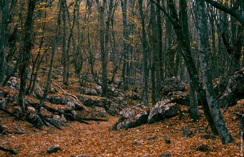 Колхозне з panoramio.com - Колхозное
