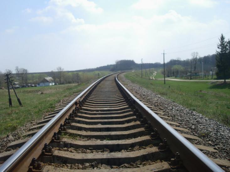 Лісова Волиця з panoramio.com - Лесовая Волица