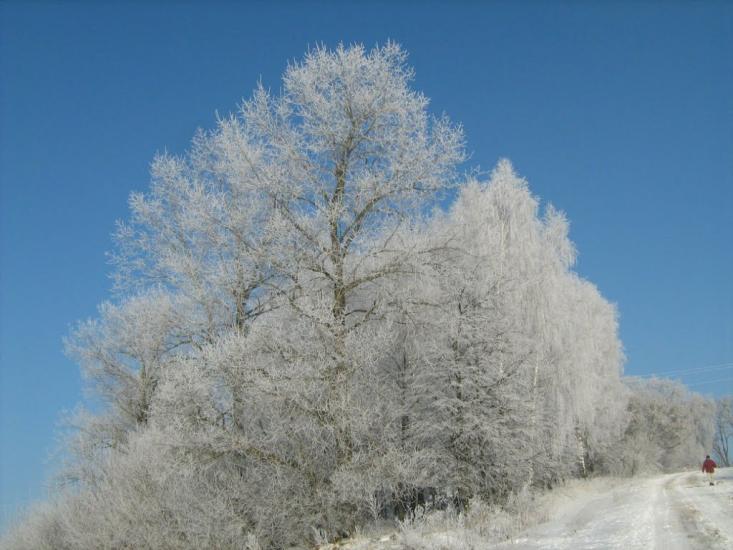 Саранчуки з panoramio.com - Саранчуки