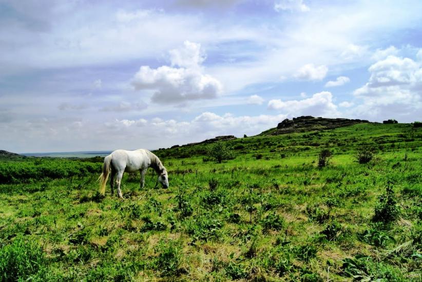 Українка з panoramio.com - Украинка