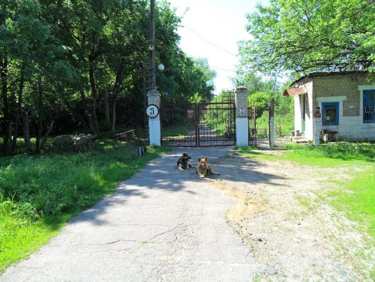 Рубіжне з panoramio.com - Рубежное