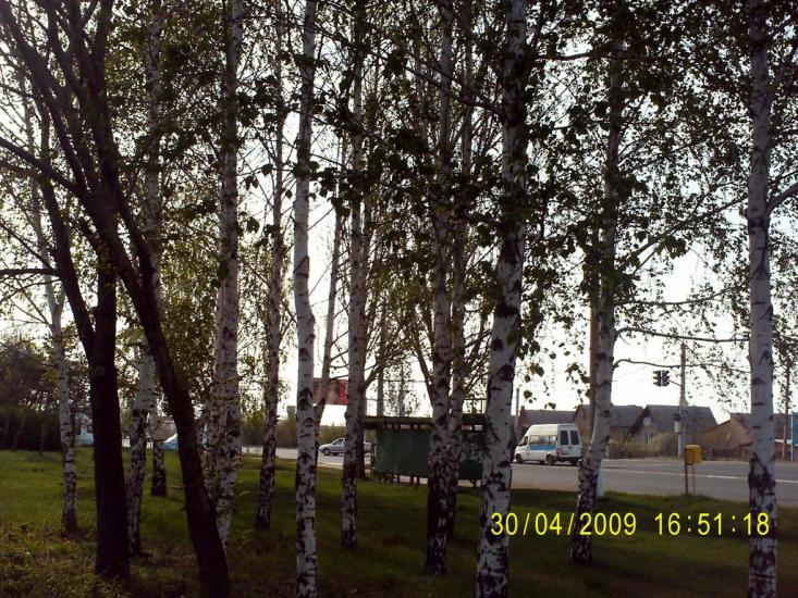 Ювілейне з panoramio.com - Юбилейное