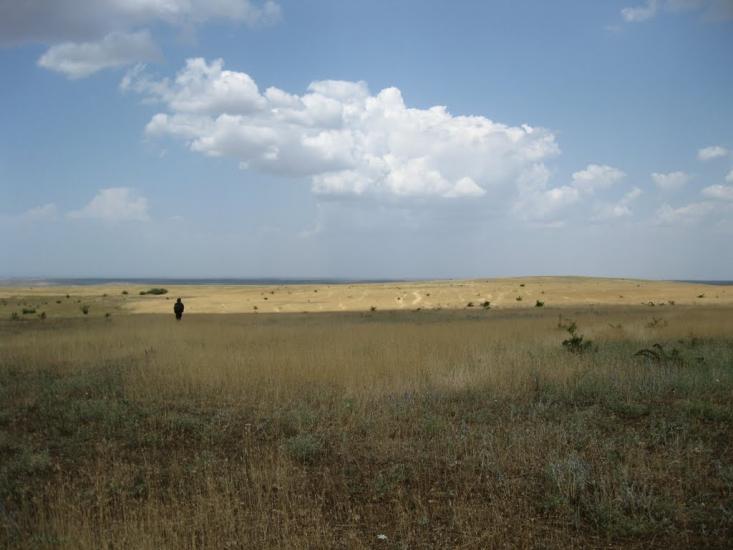 Рєпіне з panoramio.com - Рєпіне