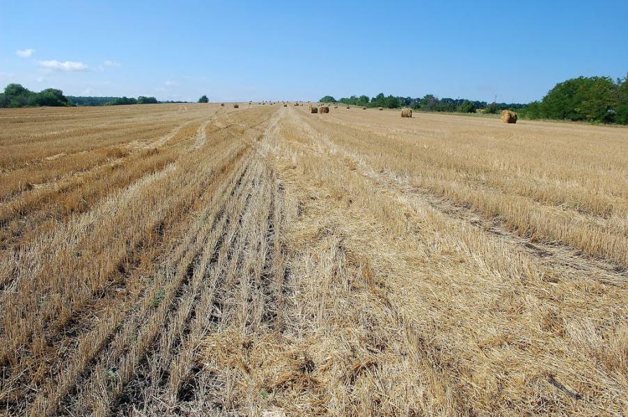 Біла Гора з panoramio.com - Біла Гора