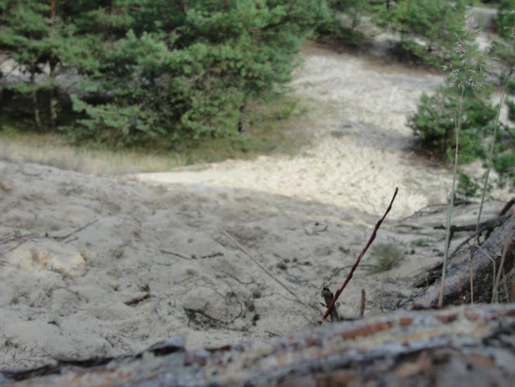 Під'язівні з panoramio.com - Під'язівні