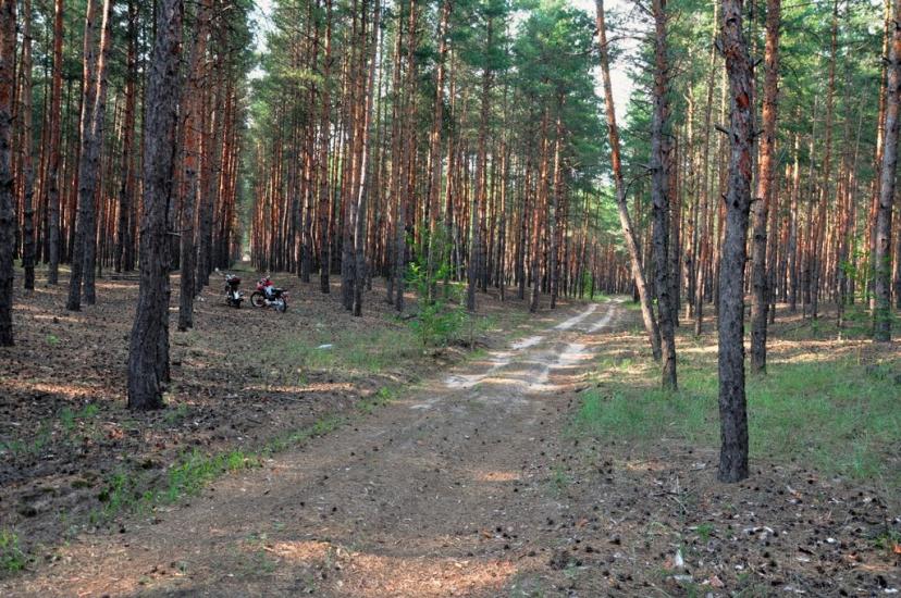 Боровеньки з panoramio.com - Боровеньки