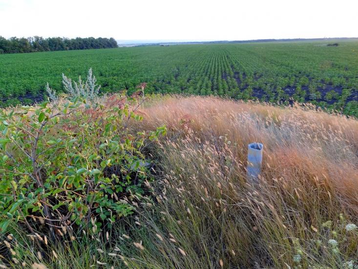 Новозванівка з panoramio.com - Novozvanivka