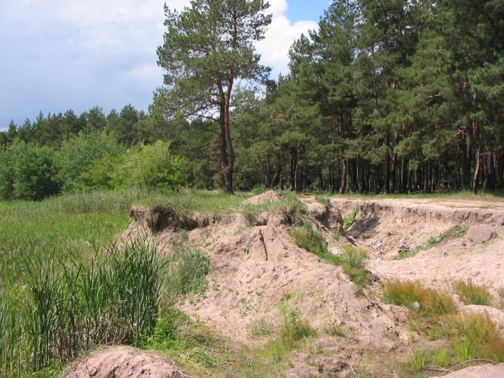 Циркуни з panoramio.com - Циркуны