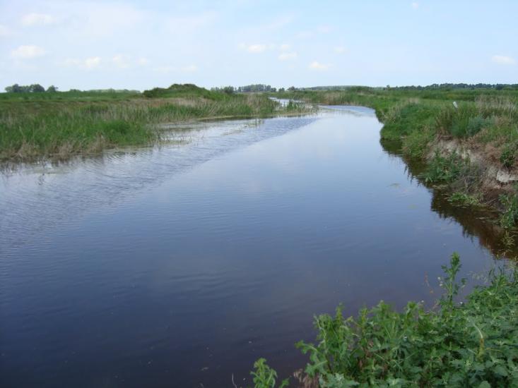Русанів з panoramio.com - Русанів