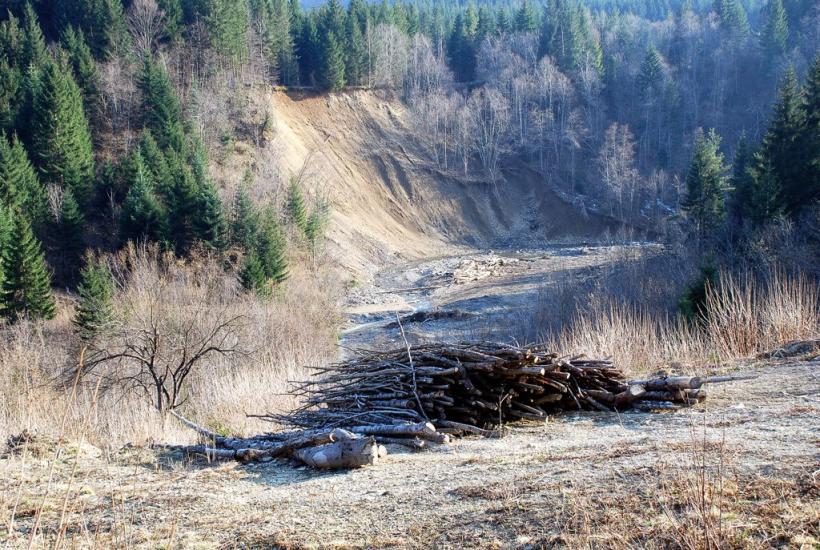 Кричка з panoramio.com - Кричка