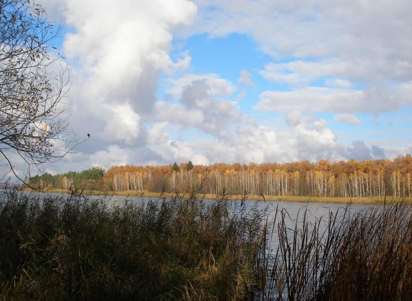 Маньківка з panoramio.com - Маньківка