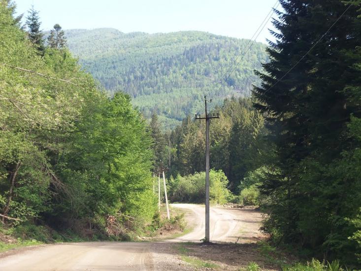 Новий Мізунь з panoramio.com - Novyy Mizun