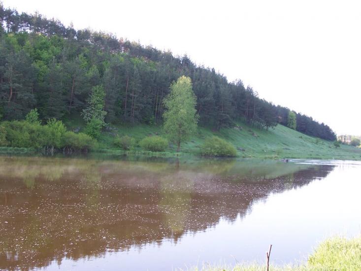 Воробіївка з panoramio.com - Vorobiyivka