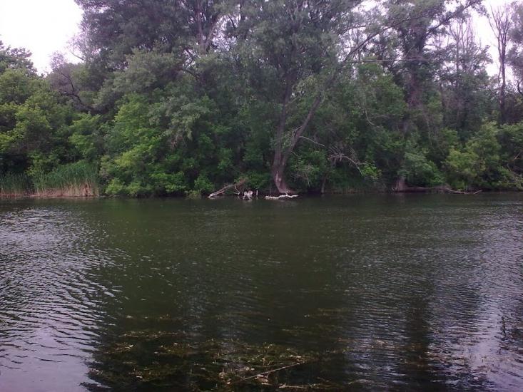 Старобільськ з panoramio.com - Старобільськ