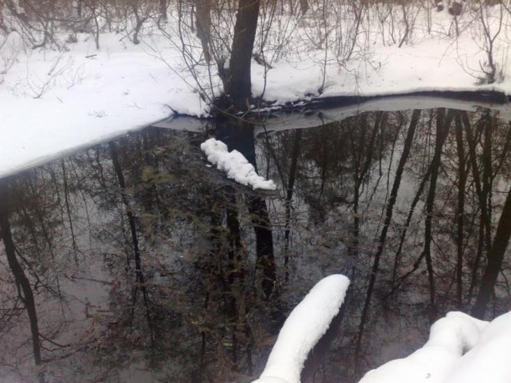 Буринь з panoramio.com - Буринь