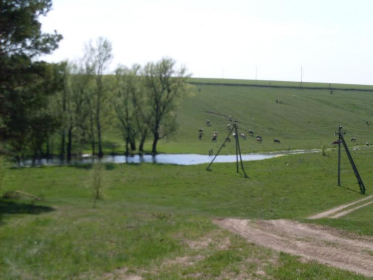 Куна з panoramio.com - Kuna