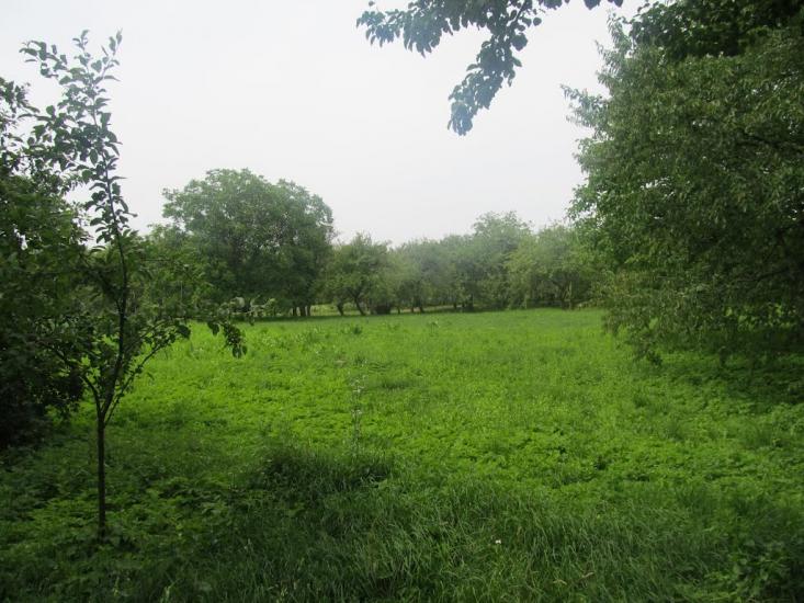 Дермань Перша з panoramio.com - Дермань Перша