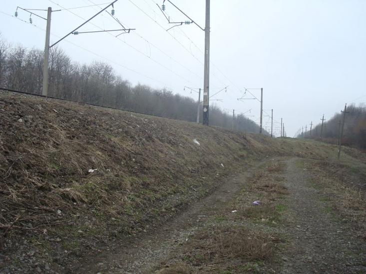 Стодульці з panoramio.com - Stodultsi