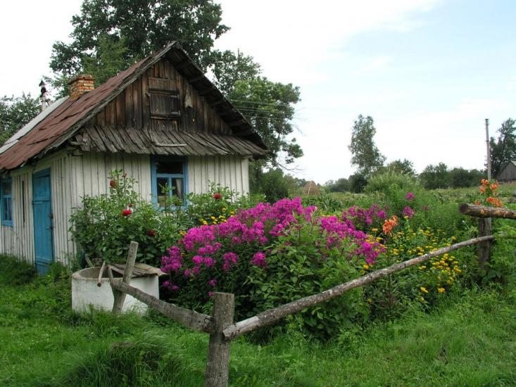 Бережниця з panoramio.com - Бережниця
