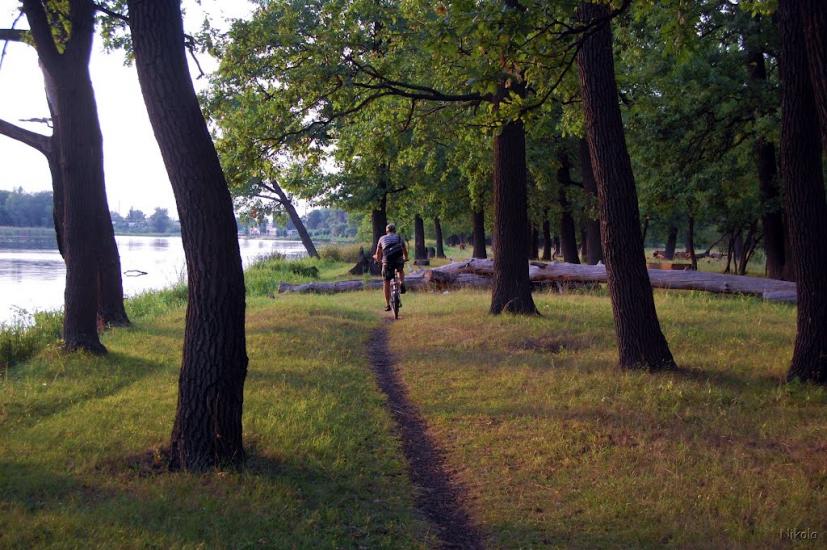 Рубіжне з panoramio.com - Рубежное