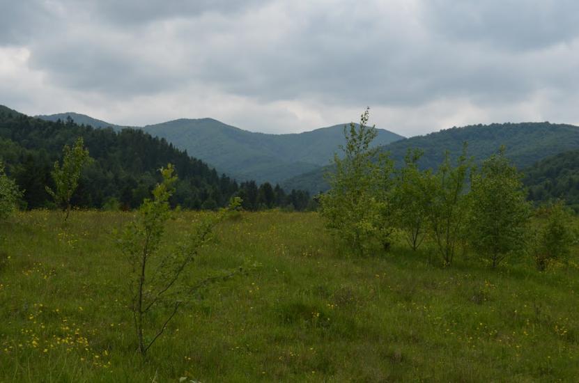 Крушельниця з panoramio.com - Крушельница