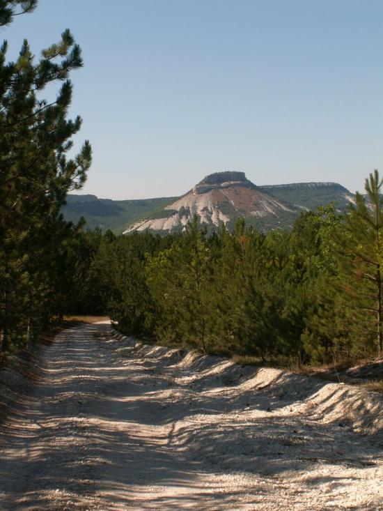 Кудрине з panoramio.com - Кудрино