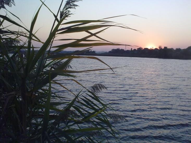Олексіївка з panoramio.com - Алексеевка