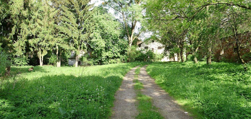 Черниця з panoramio.com - Черниця