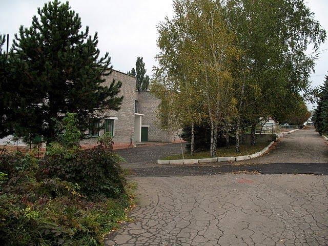 Широкине з panoramio.com - Широкине