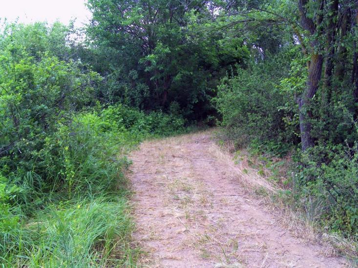 Гур'ївка з panoramio.com - Гурьевка
